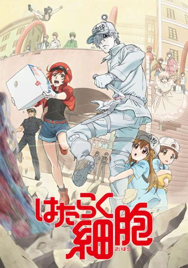 Xem Anime Hataraku Saibou tập mới 14