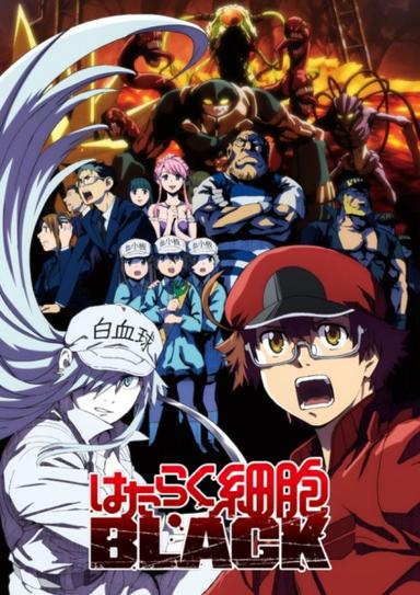 Xem Anime Hataraku Saibou Black tập mới PV2