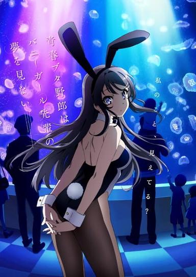 Xem Anime Seishun Buta Yarou wa Bunny Girl Senpai no Yume wo Minai tập mới 13