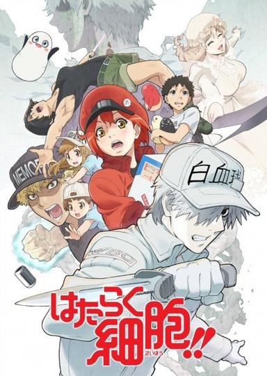 Xem Anime Hataraku Saibou 2nd Season tập mới pv2